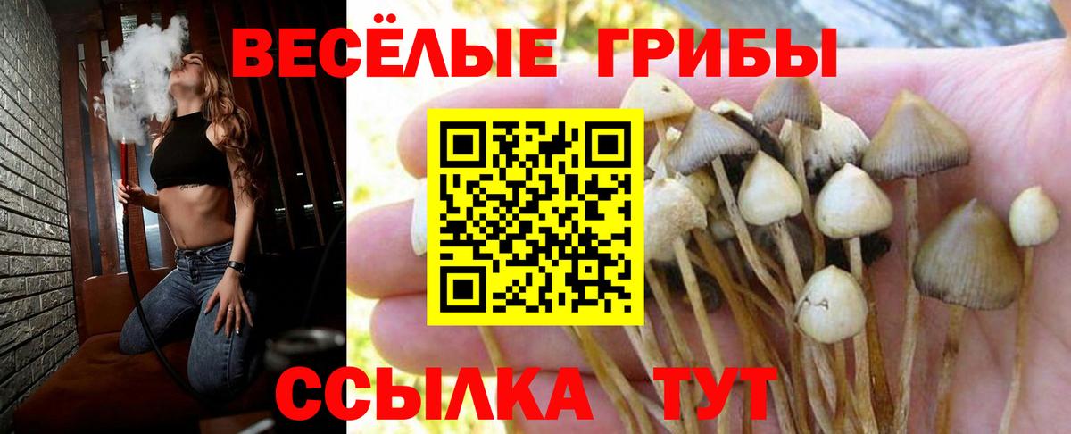 Альметьевск  магазин    Вход с VPN  Галлюциногенные грибы ЛСД 